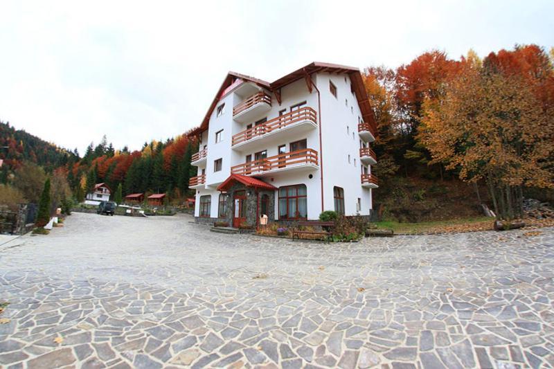 Hotel Paltinis Statiunea Esterno foto